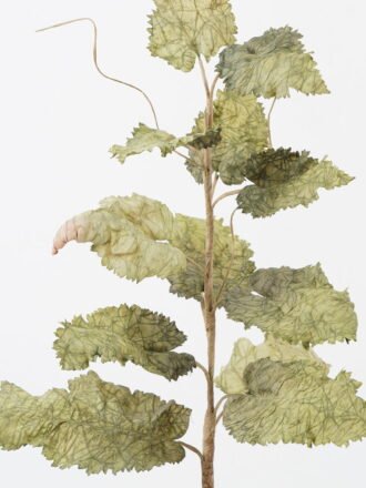 Artificial Plant 35*35*81cm Maple single stem GS-35122014-R1 Leaves&Sprays&Foliages 3,000+ sqm showroom with thousands of artificial flowers, plants & trees ready for global sourcing.