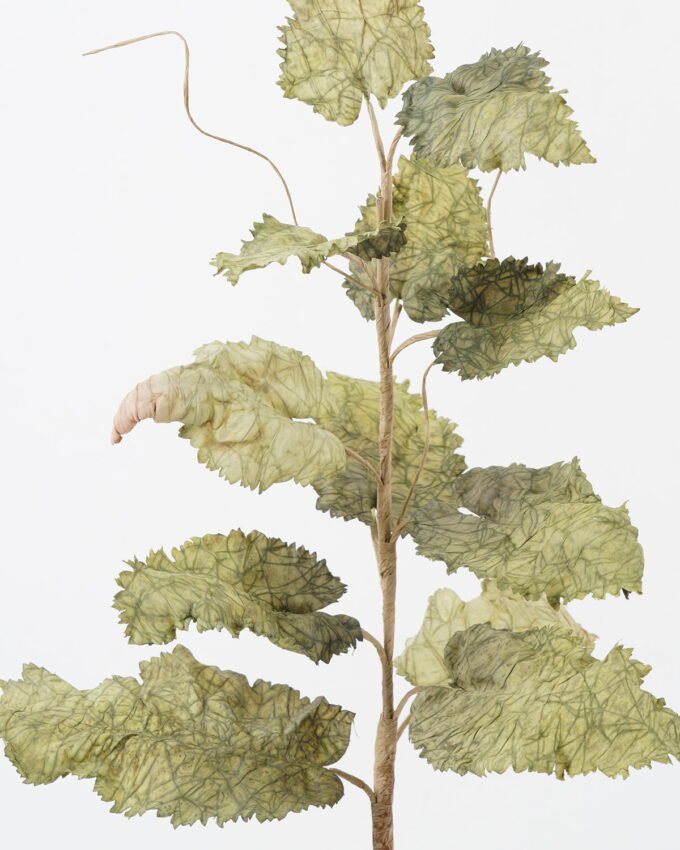 Artificial Plant 30*30*76cm Autumn poppy leaves single stem GS-35122016-G1 Leaves&Sprays&Foliages YeahFlower is one of Chinese leading OEM manufacturers and exporters , supplying the silk flowers, wholesale artificial trees