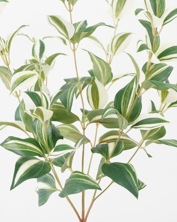 Artificial Plant 38*38*58cm Eyebrows leaf bush GS-65722002 Leaves&Sprays&Foliages YeahFlower is one of Chinese leading OEM manufacturers and exporters , supplying the silk flowers, wholesale artificial trees