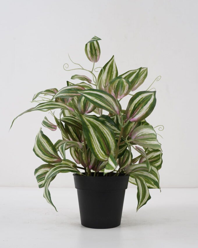 Artificial Plant 26*26*33cm Eyebrows leaf in PP pot GS-03322019 Potted Flowers&Plants YeahFlower is one of Chinese leading OEM manufacturers and exporters , supplying the silk flowers, wholesale artificial trees