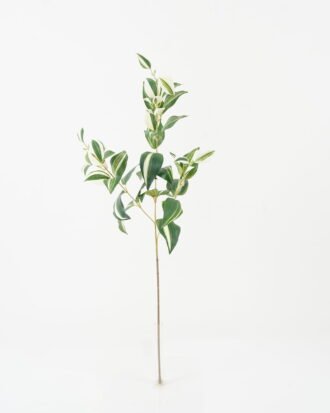 Artificial Plant 25*25*73cm Eyebrows leaf single stem GS-65722001 Leaves&Sprays&Foliages YeahFlower is one of Chinese leading OEM manufacturers and exporters , supplying the silk flowers, wholesale artificial trees