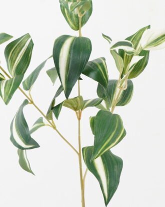 Artificial Plant 25*25*73cm Eyebrows leaf single stem GS-65722001 Leaves&Sprays&Foliages YeahFlower is one of Chinese leading OEM manufacturers and exporters , supplying the silk flowers, wholesale artificial trees