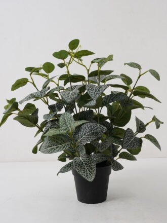 Artificial Plant 25*25*31cm Fittonia leaf in PP pot GS-03322022 Potted Flowers&Plants 3,000+ sqm showroom with thousands of artificial flowers, plants & trees ready for global sourcing.