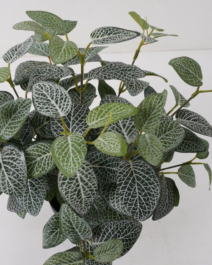 Artificial Plant Fittonia leaf in PP pot GS-03322021_1 Artificial Plant 25*25*35cm Fittonia leaf in PP pot GS-03322021 Potted Flowers&Plants YeahFlower is one of Chinese leading OEM manufacturers and exporters , supplying the silk flowers, wholesale artificial trees