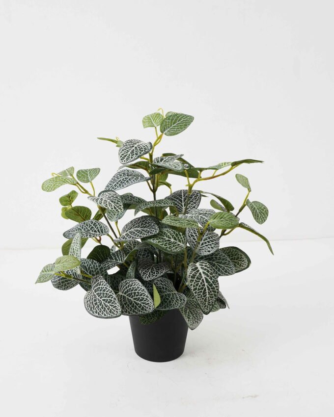 Artificial Plant 25*25*31cm Fittonia leaf in PP pot GS-03322022 Potted Flowers&Plants YeahFlower is one of Chinese leading OEM manufacturers and exporters , supplying the silk flowers, wholesale artificial trees