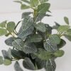 Artificial Plant 25*25*31cm Fittonia leaf in PP pot GS-03322022 Potted Flowers&Plants YeahFlower is one of Chinese leading OEM manufacturers and exporters , supplying the silk flowers, wholesale artificial trees