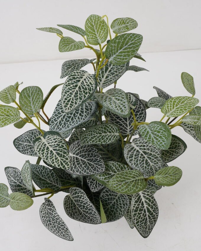Artificial Plant 25*25*31cm Fittonia leaf in PP pot GS-03322022 Potted Flowers&Plants YeahFlower is one of Chinese leading OEM manufacturers and exporters , supplying the silk flowers, wholesale artificial trees
