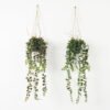 Artificial Plant 16*16*83cm Grass Hanging in pp pot GS-59122004 Banners&Garlands YeahFlower is one of Chinese leading OEM manufacturers and exporters , supplying the silk flowers, wholesale artificial trees