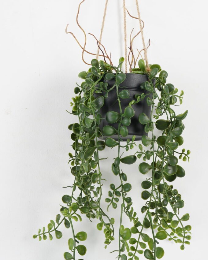 Artificial Plant 16*16*83cm Grass Hanging in pp pot GS-59122004 Banners&Garlands YeahFlower is one of Chinese leading OEM manufacturers and exporters , supplying the silk flowers, wholesale artificial trees