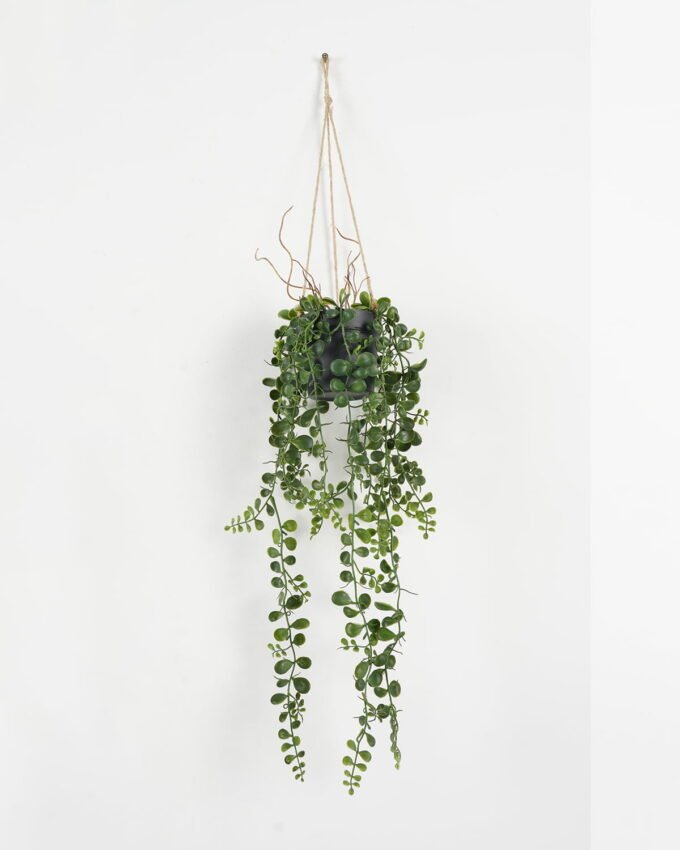 Artificial Plant 16*16*83cm Grass Hanging in pp pot GS-59122004 Banners&Garlands YeahFlower is one of Chinese leading OEM manufacturers and exporters , supplying the silk flowers, wholesale artificial trees