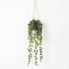 Artificial Plant 16*16*83cm Grass Hanging in pp pot GS-59122004 Banners&Garlands YeahFlower is one of Chinese leading OEM manufacturers and exporters , supplying the silk flowers, wholesale artificial trees