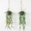Artificial Plant 20*20*80cm Grass Hanging in pp pot GS-59122007 Banners&Garlands YeahFlower is one of Chinese leading OEM manufacturers and exporters , supplying the silk flowers, wholesale artificial trees