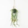 Artificial Plant 20*20*80cm Grass Hanging in pp pot GS-59122007 Banners&Garlands YeahFlower is one of Chinese leading OEM manufacturers and exporters , supplying the silk flowers, wholesale artificial trees