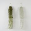 Artificial Plant Grass Hanging in pp pot GS-59122008_1 Artificial Plant 15*15*80cm Grass Hanging in pp pot GS-59122008 Banners&Garlands YeahFlower is one of Chinese leading OEM manufacturers and exporters , supplying the silk flowers, wholesale artificial trees
