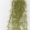 Artificial Plant Grass Hanging in pp pot GS-59122008_2 Artificial Plant 15*15*80cm Grass Hanging in pp pot GS-59122008 Banners&Garlands YeahFlower is one of Chinese leading OEM manufacturers and exporters , supplying the silk flowers, wholesale artificial trees