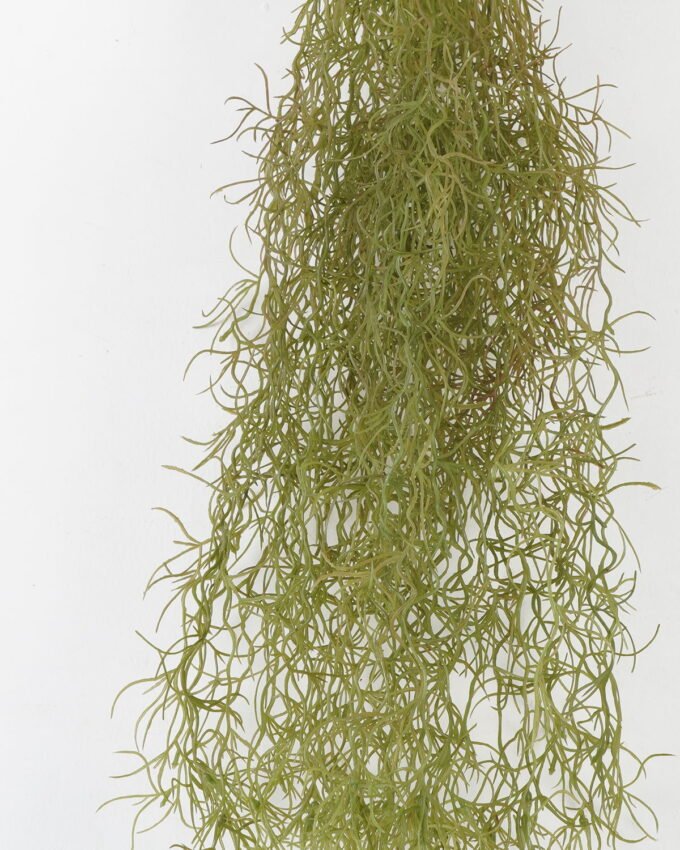 Artificial Plant Grass Hanging in pp pot GS-59122008_2 Artificial Plant 15*15*80cm Grass Hanging in pp pot GS-59122008 Banners&Garlands YeahFlower is one of Chinese leading OEM manufacturers and exporters , supplying the silk flowers, wholesale artificial trees