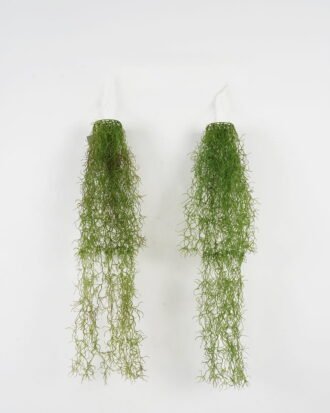 Artificial Plant 15*15*80cm Grass Hanging in pp pot GS-59122009 Banners&Garlands YeahFlower is one of Chinese leading OEM manufacturers and exporters , supplying the silk flowers, wholesale artificial trees