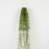 Artificial Plant Grass Hanging in pp pot GS-59122009_4 Artificial Plant 15*15*80cm Grass Hanging in pp pot GS-59122009 Banners&Garlands YeahFlower is one of Chinese leading OEM manufacturers and exporters , supplying the silk flowers, wholesale artificial trees