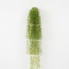 Artificial Plant 20*20*92cm Hanging grass GS-59122021 Banners&Garlands YeahFlower is one of Chinese leading OEM manufacturers and exporters , supplying the silk flowers, wholesale artificial trees