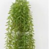 Artificial Plant 20*20*92cm Hanging grass GS-59122021 Banners&Garlands YeahFlower is one of Chinese leading OEM manufacturers and exporters , supplying the silk flowers, wholesale artificial trees