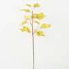 Artificial Plant 45*45*105cm Maple single stem GS-35122013 Leaves&Sprays&Foliages YeahFlower is one of Chinese leading OEM manufacturers and exporters , supplying the silk flowers, wholesale artificial trees