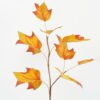 Artificial Plant 35*35*81cm Maple single stem GS-35122014-O1 Leaves&Sprays&Foliages YeahFlower is one of Chinese leading OEM manufacturers and exporters , supplying the silk flowers, wholesale artificial trees