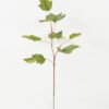Artificial Plant 35*35*81cm Maple single stem GS-35122014 Leaves&Sprays&Foliages YeahFlower is one of Chinese leading OEM manufacturers and exporters , supplying the silk flowers, wholesale artificial trees