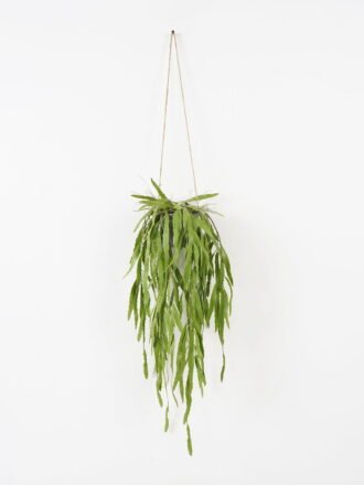 Artificial Plant 15*15*80cm Grass Hanging in pp pot GS-59122009 Banners&Garlands 3,000+ sqm showroom with thousands of artificial flowers, plants & trees ready for global sourcing.