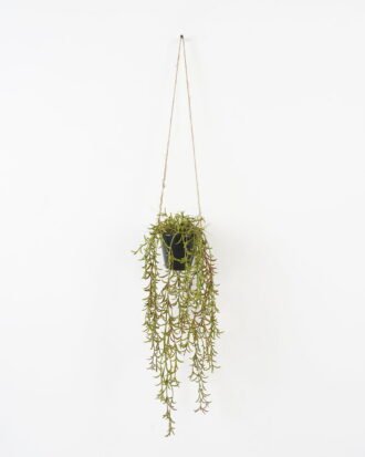 Artificial Plant 20*20*105cm, Potted rosemary with hanging rope GS-48122002 Banners&Garlands YeahFlower is one of Chinese leading OEM manufacturers and exporters , supplying the silk flowers, wholesale artificial trees