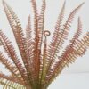 Artificial Plant 25*25*52cm Pteridium aquilinum Bush GS-59122016 Leaves&Sprays&Foliages YeahFlower is one of Chinese leading OEM manufacturers and exporters , supplying the silk flowers, wholesale artificial trees
