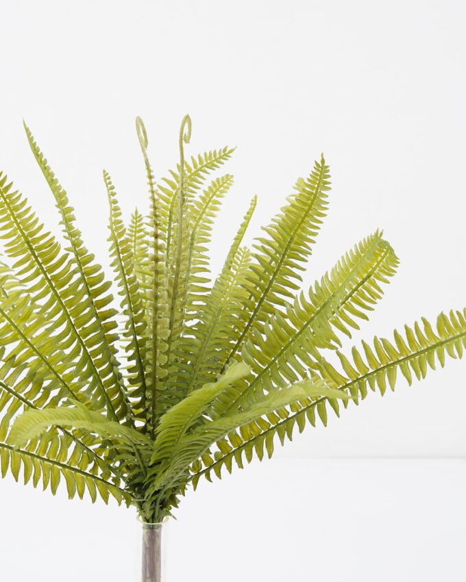 Artificial Plant 24*24*38cm Pteridium aquilinum Bush GS-59122019 Leaves&Sprays&Foliages YeahFlower is one of Chinese leading OEM manufacturers and exporters , supplying the silk flowers, wholesale artificial trees