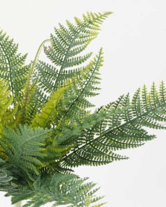 Artificial Plant 37*45cm Pteris bush*15 GS-39022010 Leaves&Sprays&Foliages YeahFlower is one of Chinese leading OEM manufacturers and exporters , supplying the silk flowers, wholesale artificial trees