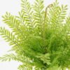 Artificial Plant 35*35*37cm Pteris bush*25 GS-39022003 Leaves&Sprays&Foliages YeahFlower is one of Chinese leading OEM manufacturers and exporters , supplying the silk flowers, wholesale artificial trees