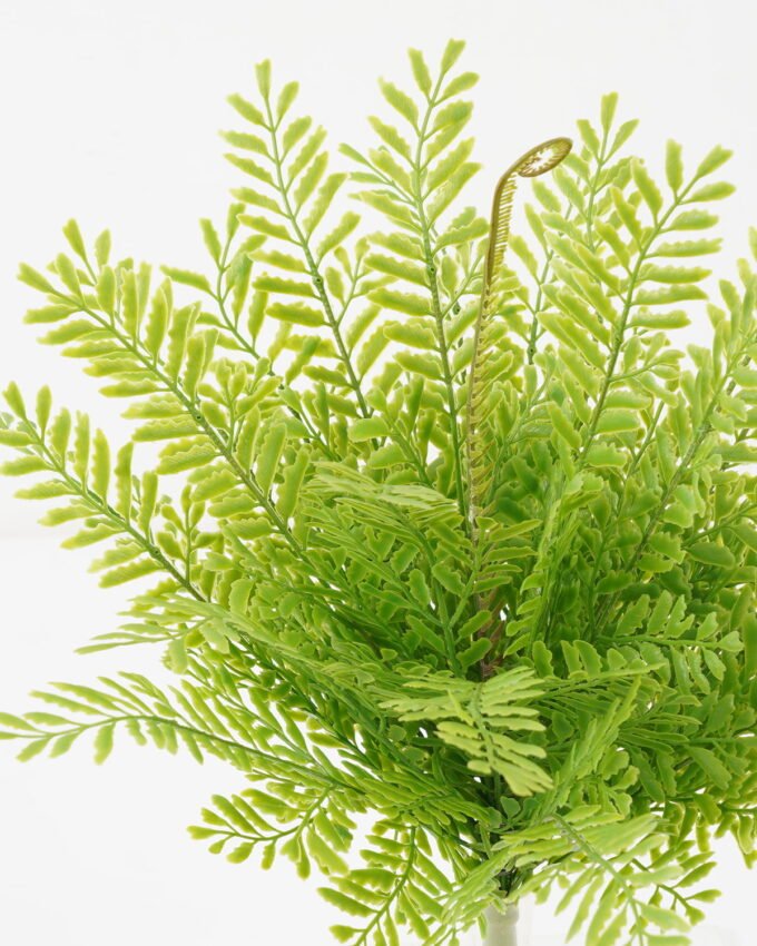 Artificial Plant 35*35*37cm Pteris bush*25 GS-39022003 Leaves&Sprays&Foliages YeahFlower is one of Chinese leading OEM manufacturers and exporters , supplying the silk flowers, wholesale artificial trees