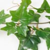 Artificial Plant 20*20*200cm Real touch ivy garland GS-64222021 Banners&Garlands 3,000+ sqm showroom with thousands of artificial flowers, plants & trees ready for global sourcing.