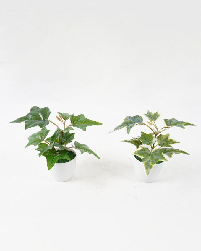 Artificial Plant 20*20*15cm Real touch ivy in PP pot GS-64222020 Potted Flowers&Plants 3,000+ sqm showroom with thousands of artificial flowers, plants & trees ready for global sourcing.