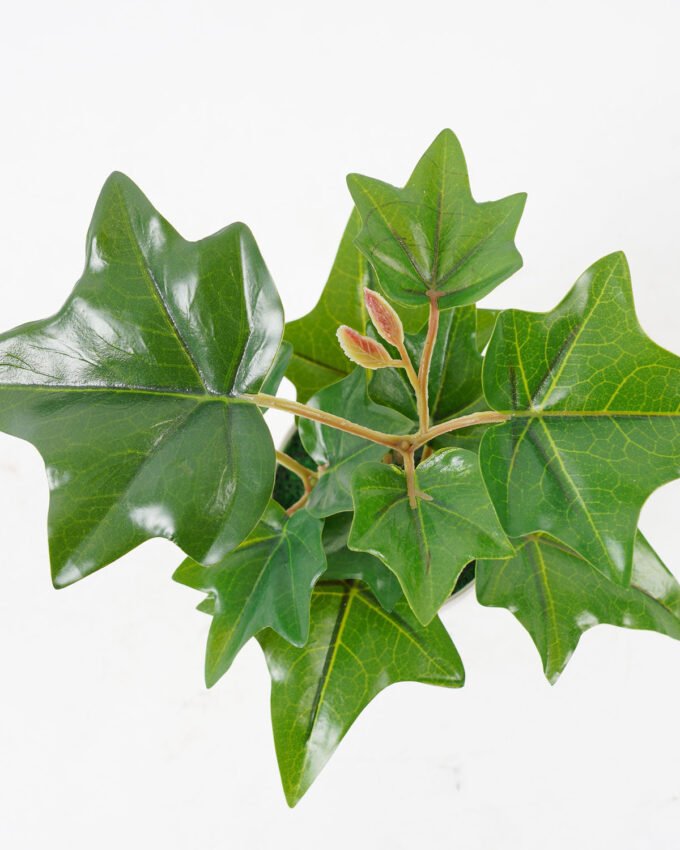 Artificial Plant 20*20*15cm Real touch ivy in PP pot GS-64222020 Potted Flowers&Plants 3,000+ sqm showroom with thousands of artificial flowers, plants & trees ready for global sourcing.