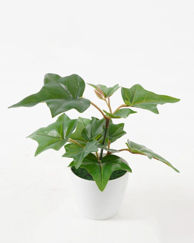 Artificial Plant 20*20*15cm Real touch ivy in PP pot GS-64222020 Potted Flowers&Plants 3,000+ sqm showroom with thousands of artificial flowers, plants & trees ready for global sourcing.