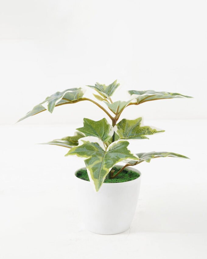 Artificial Plant 20*20*15cm Real touch ivy in PP pot GS-64222020 Potted Flowers&Plants 3,000+ sqm showroom with thousands of artificial flowers, plants & trees ready for global sourcing.