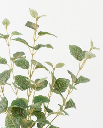 Artificial Plant 30*30*58cm Red vein leaf bush GS-65722008 Leaves&Sprays&Foliages YeahFlower is one of Chinese leading OEM manufacturers and exporters , supplying the silk flowers, wholesale artificial trees