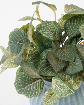 Artificial Plant 19*19*20cm Red vein leaf in PE pot GS-65722011 Potted Flowers&Plants YeahFlower is one of Chinese leading OEM manufacturers and exporters , supplying the silk flowers, wholesale artificial trees