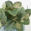 Artificial Plant Red vein leaf in PE pot GS-65722012_1 Artificial Plant 19*19*18cm Red vein leaf in PE pot GS-65722012 Potted Flowers&Plants YeahFlower is one of Chinese leading OEM manufacturers and exporters , supplying the silk flowers, wholesale artificial trees