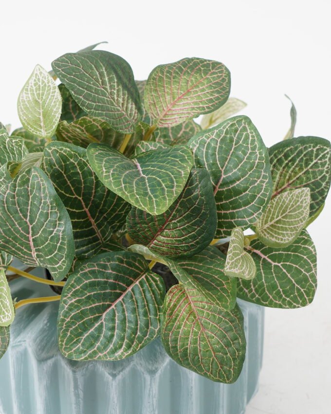 Artificial Plant Red vein leaf in PE pot GS-65722012_1 Artificial Plant 19*19*18cm Red vein leaf in PE pot GS-65722012 Potted Flowers&Plants YeahFlower is one of Chinese leading OEM manufacturers and exporters , supplying the silk flowers, wholesale artificial trees