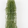 Artificial Plant 12*12*80cm Senecio rowleyanus GS-59122022 Banners&Garlands YeahFlower is one of Chinese leading OEM manufacturers and exporters , supplying the silk flowers, wholesale artificial trees