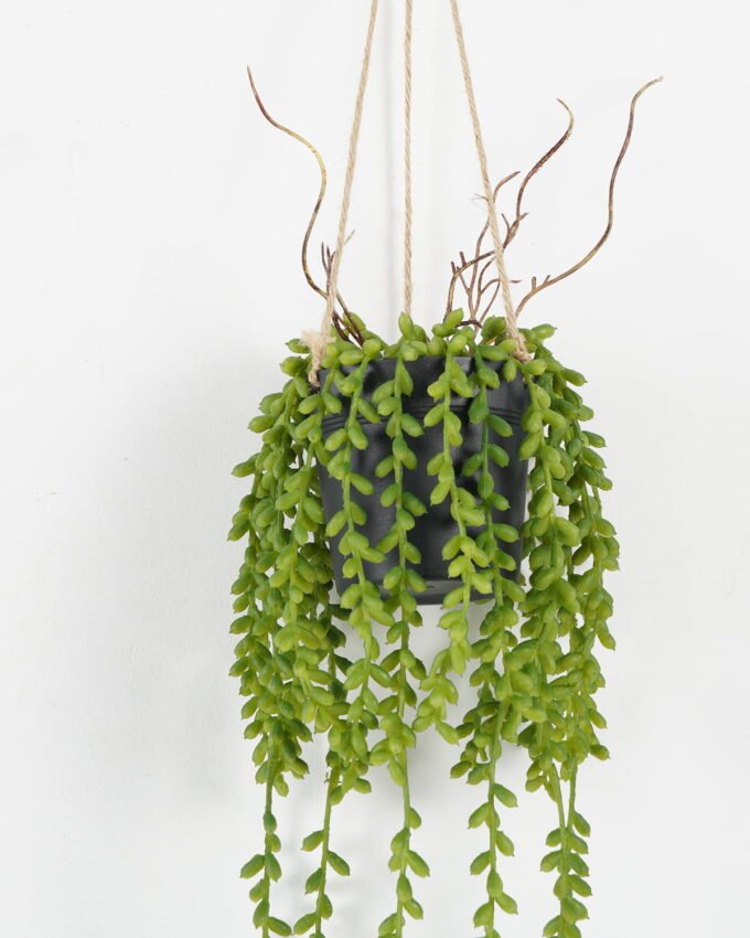 Artificial Plant 17*17*70cm Succulent plant Garland in pp pot GS-59122002 Banners&Garlands YeahFlower is one of Chinese leading OEM manufacturers and exporters , supplying the silk flowers, wholesale artificial trees