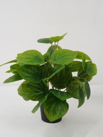 Artificial Plant 26*26*33cm Eyebrows leaf in PP pot GS-03322019 Potted Flowers&Plants 3,000+ sqm showroom with thousands of artificial flowers, plants & trees ready for global sourcing.