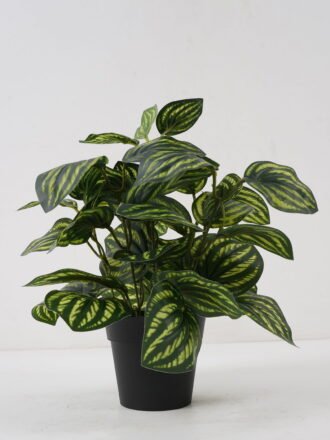 Artificial Plant 25*25*35cm Fittonia leaf in PP pot GS-03322021 Potted Flowers&Plants 3,000+ sqm showroom with thousands of artificial flowers, plants & trees ready for global sourcing.