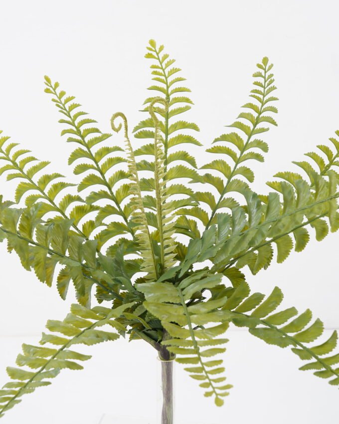 Artificial Plant 21*21*41cm Wave leaf Bush/lvs12 GS-59122011 Leaves&Sprays&Foliages YeahFlower is one of Chinese leading OEM manufacturers and exporters , supplying the silk flowers, wholesale artificial trees