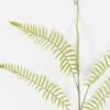 Artificial Plant 40*73cm single Fern leaves spray*5 GS-39022005 Leaves&Sprays&Foliages YeahFlower is one of Chinese leading OEM manufacturers and exporters , supplying the silk flowers, wholesale artificial trees