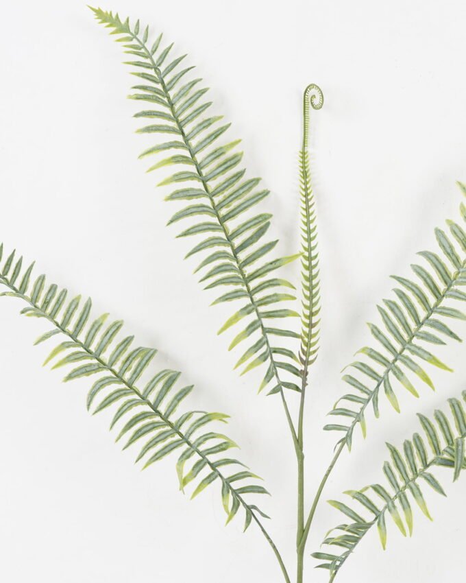 Artificial Plant 40*83cm single Fern leaves spray*5 GS-39022006 Leaves&Sprays&Foliages YeahFlower is one of Chinese leading OEM manufacturers and exporters , supplying the silk flowers, wholesale artificial trees